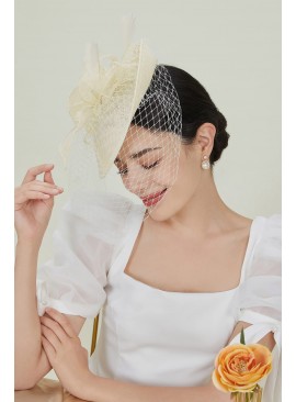 Women's Solid Color Charming Hat with Veil